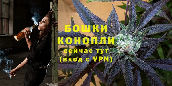 молекула духа Алексеевка