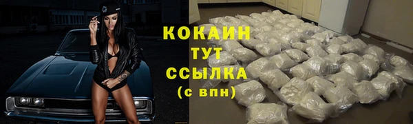 кокс Алексин