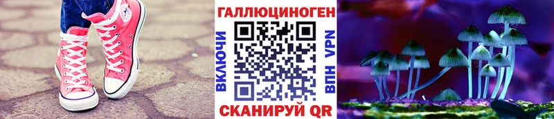хочу наркоту  Новая Ладога  Псилоцибиновые грибы Magic Shrooms 