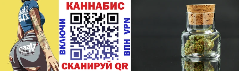 Бошки Шишки VHQ  закладки  Новая Ладога 